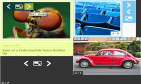 jquery文中图片放大显示特效