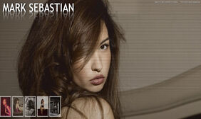 jQuery全页图像预览画廊