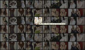 jquery全页照片墙画廊