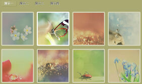 jQuery过滤器图片浏览