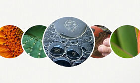 jquery图片滚动条放大效果