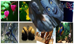 jQuery图片摇晃显示效果 jQuery图片摇晃显示网页特效