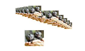 流畅3D立体图片相册特效