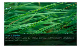 半透明遮罩jQuery图片轮播