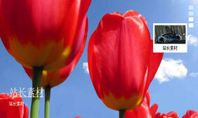 纵向索引按钮jquery焦点图