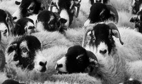 jquery.nicescroll无滚动条左右拖拽