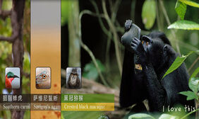 jQuery手风琴图片轮播切换