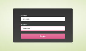 CSS3可自动输入登录表单动画
