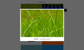 支持弹出图片视频jQuery插件