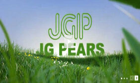 jquery flash交互式媒体播放器