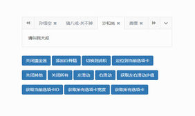 Bootstrap自定义选项卡代码