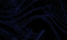 Canvas沙子流动动画特效