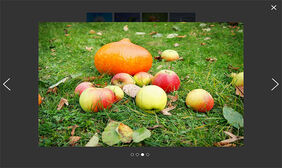 原生JS点击小图弹出大图代码