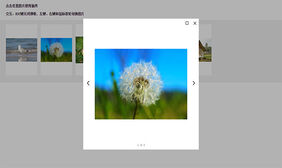 jQuery点击弹窗图片放大预览查看