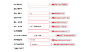 verJs表单验证提示插件