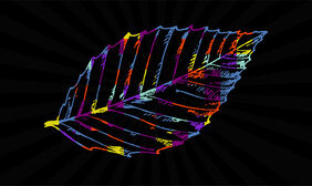 CSS3 SVG彩色叶子动画特效