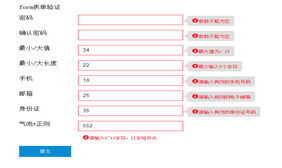 verJs.js表单验证插件