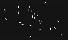 透明线条游动Canvas特效