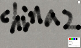 HTML5 Canvas喷漆涂鸦特效