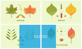 jQ悬停图片感知方向遮罩特效